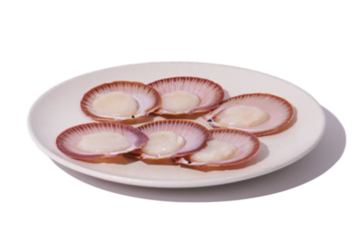 Picture of Hervey Bay Scallops | 6pk